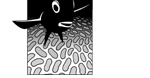Reef Tectonics Logo